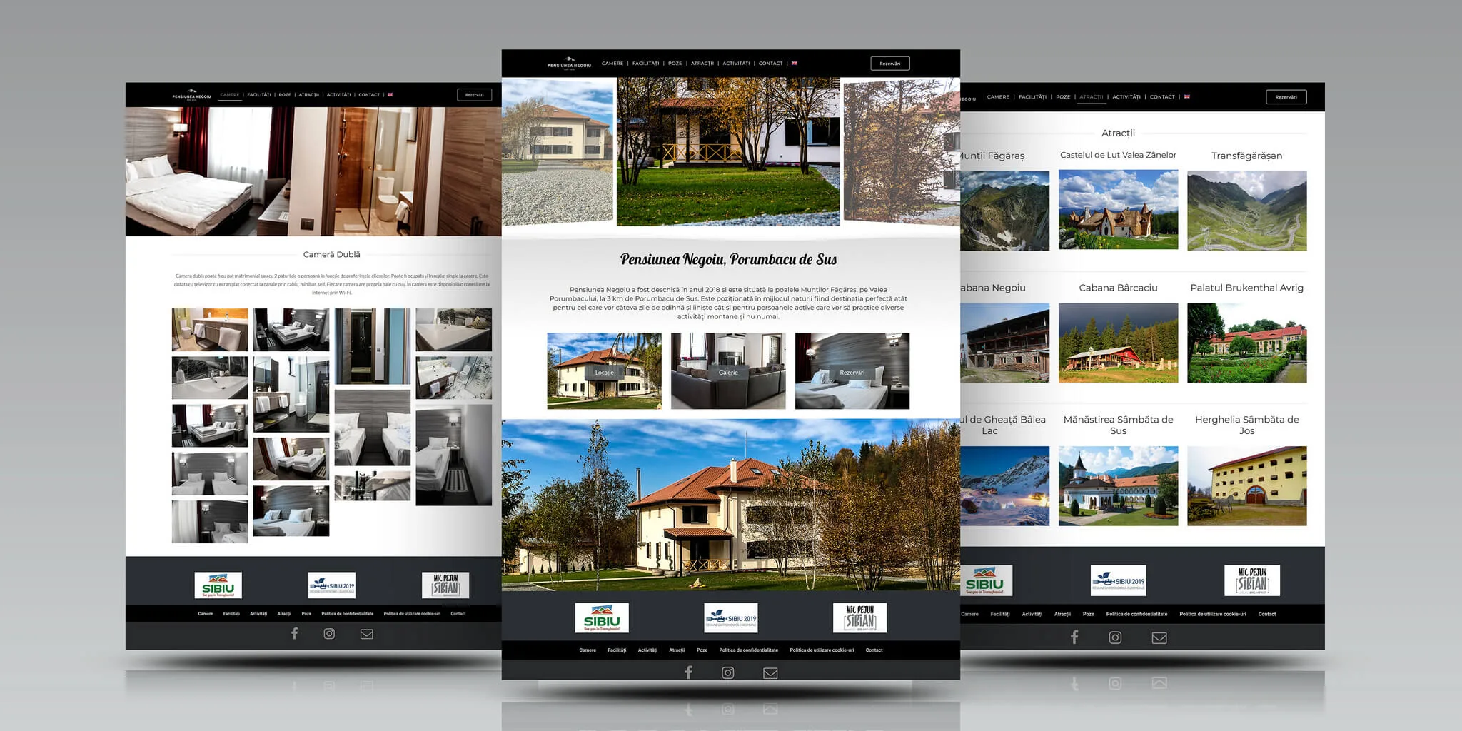 Portofoliu Multimedia Web pensiuneanegoiu.ro